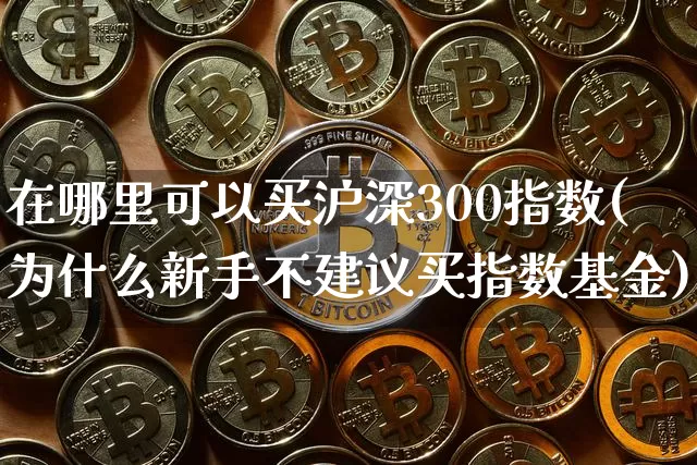 在哪里可以买沪深300指数(为什么新手不建议买指数基金)_https://www.qgjzrcxxzxpt.com_广期所_第1张