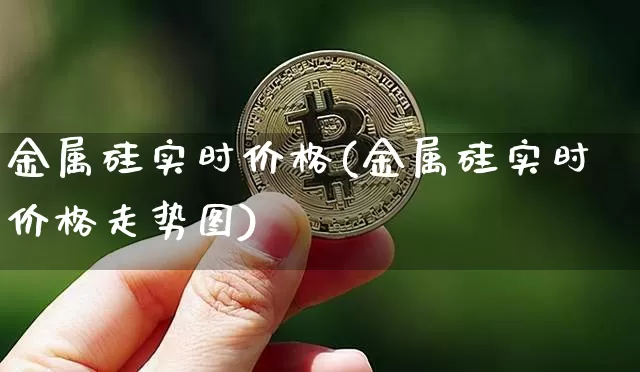 金属硅实时价格(金属硅实时价格走势图)_https://www.qgjzrcxxzxpt.com_大商所_第1张