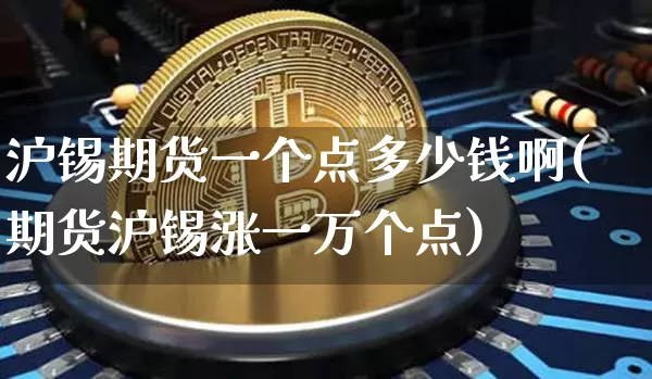 沪锡期货一个点多少钱啊(期货沪锡涨一万个点)_https://www.qgjzrcxxzxpt.com_上期能源_第1张
