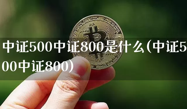 中证500中证800是什么(中证500中证800)_https://www.qgjzrcxxzxpt.com_上期能源_第1张