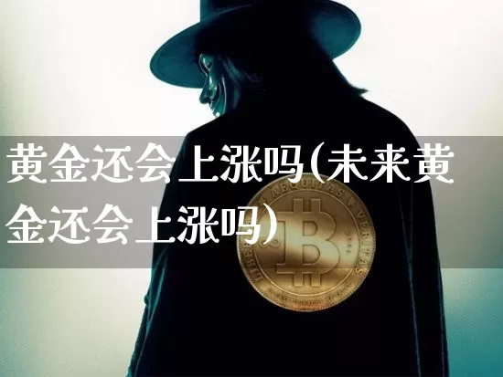 黄金还会上涨吗(未来黄金还会上涨吗)_https://www.qgjzrcxxzxpt.com_中金所_第1张
