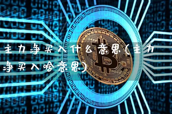 主力净买入什么意思(主力净买入啥意思)_https://www.qgjzrcxxzxpt.com_上期能源_第1张
