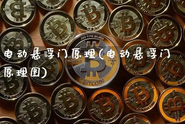 电动悬浮门原理(电动悬浮门原理图)_https://www.qgjzrcxxzxpt.com_广期所_第1张