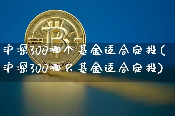 沪深300哪个基金适合定投(沪深300哪只基金适合定投)_https://www.qgjzrcxxzxpt.com_上期所_第1张