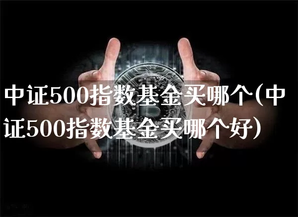 中证500指数基金买哪个(中证500指数基金买哪个好)_https://www.qgjzrcxxzxpt.com_上期所_第1张