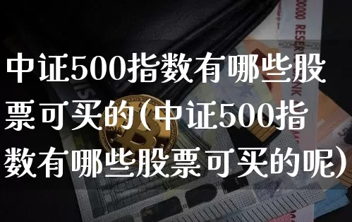 中证500指数有哪些股票可买的(中证500指数有哪些股票可买的呢)_https://www.qgjzrcxxzxpt.com_广期所_第1张