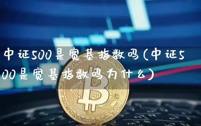中证500是宽基指数吗(中证500是宽基指数吗为什么)_https://www.qgjzrcxxzxpt.com_广期所_第1张