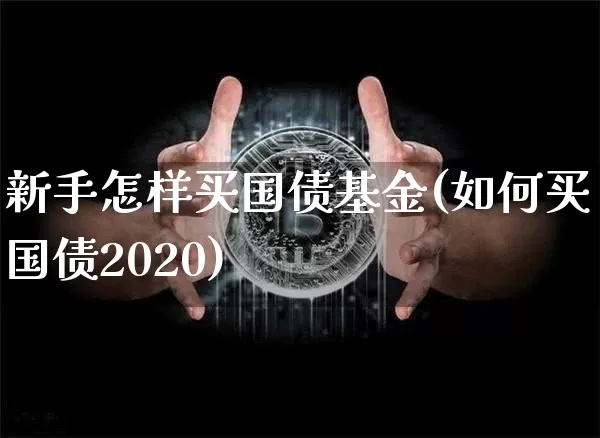 新手怎样买国债基金(如何买国债2020)_https://www.qgjzrcxxzxpt.com_广期所_第1张