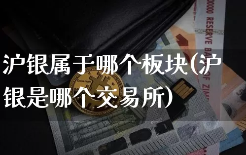 沪银属于哪个板块(沪银是哪个交易所)_https://www.qgjzrcxxzxpt.com_广期所_第1张