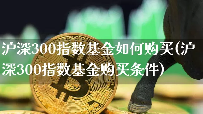 沪深300指数基金如何购买(沪深300指数基金购买条件)_https://www.qgjzrcxxzxpt.com_上期所_第1张