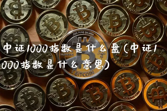 中证1000指数是什么盘(中证1000指数是什么意思)_https://www.qgjzrcxxzxpt.com_上期所_第1张
