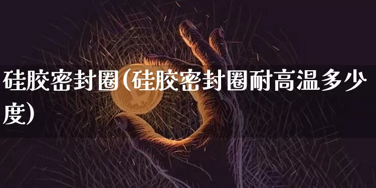 硅胶密封圈(硅胶密封圈耐高温多少度)_https://www.qgjzrcxxzxpt.com_上期能源_第1张
