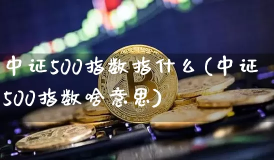 中证500指数指什么(中证500指数啥意思)_https://www.qgjzrcxxzxpt.com_广期所_第1张