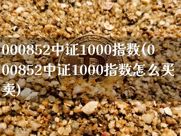 000852中证1000指数(000852中证1000指数怎么买卖)_https://www.qgjzrcxxzxpt.com_郑商所_第1张