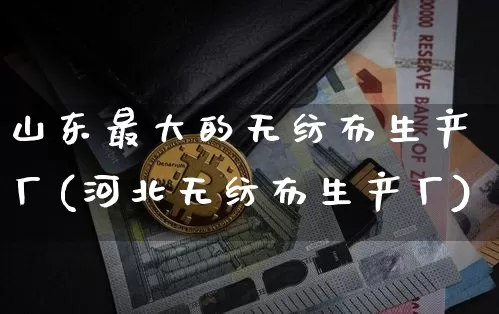山东最大的无纺布生产厂(河北无纺布生产厂)_https://www.qgjzrcxxzxpt.com_上期能源_第1张