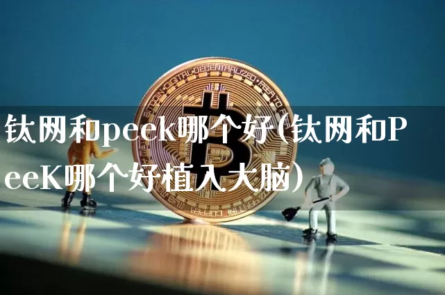 钛网和peek哪个好(钛网和PeeK哪个好植入大脑)_https://www.qgjzrcxxzxpt.com_中金所_第1张