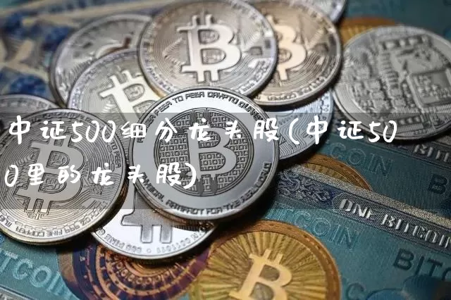 中证500细分龙头股(中证500里的龙头股)_https://www.qgjzrcxxzxpt.com_大商所_第1张