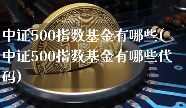 中证500指数基金有哪些(中证500指数基金有哪些代码)_https://www.qgjzrcxxzxpt.com_郑商所_第1张