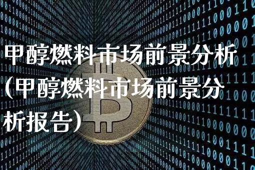 甲醇燃料市场前景分析(甲醇燃料市场前景分析报告)_https://www.qgjzrcxxzxpt.com_广期所_第1张
