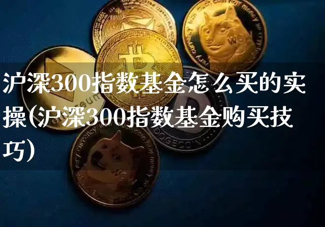 沪深300指数基金怎么买的实操(沪深300指数基金购买技巧)_https://www.qgjzrcxxzxpt.com_郑商所_第1张