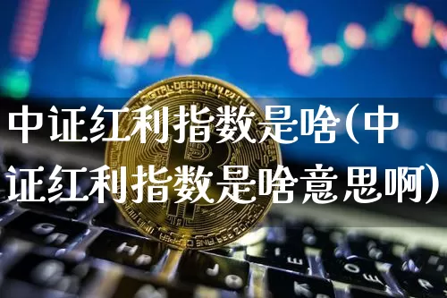 中证红利指数是啥(中证红利指数是啥意思啊)_https://www.qgjzrcxxzxpt.com_上期能源_第1张