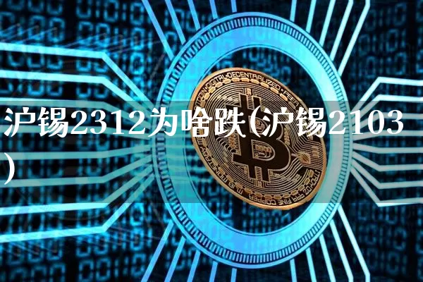 沪锡2312为啥跌(沪锡2103)_https://www.qgjzrcxxzxpt.com_上期能源_第1张