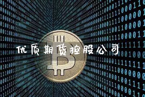 优质期货控股公司_https://www.qgjzrcxxzxpt.com_上期所_第1张