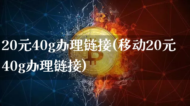 20元40g办理链接(移动20元40g办理链接)_https://www.qgjzrcxxzxpt.com_上期能源_第1张