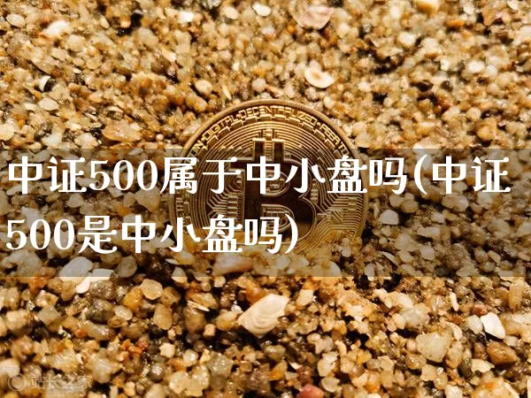 中证500属于中小盘吗(中证500是中小盘吗)_https://www.qgjzrcxxzxpt.com_大商所_第1张