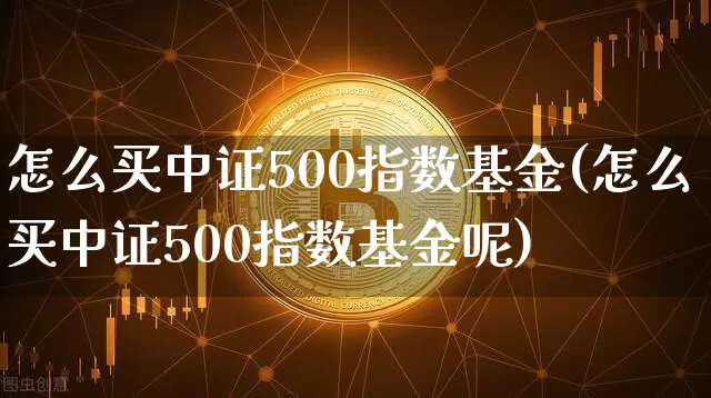 怎么买中证500指数基金(怎么买中证500指数基金呢)_https://www.qgjzrcxxzxpt.com_郑商所_第1张