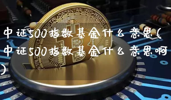 中证500指数基金什么意思(中证500指数基金什么意思啊)_https://www.qgjzrcxxzxpt.com_上期所_第1张
