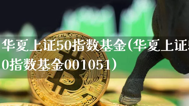 华夏上证50指数基金(华夏上证50指数基金001051)_https://www.qgjzrcxxzxpt.com_上期能源_第1张