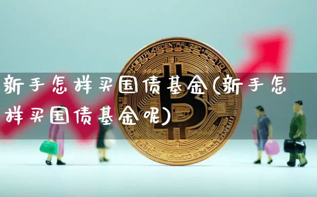 新手怎样买国债基金(新手怎样买国债基金呢)_https://www.qgjzrcxxzxpt.com_上期所_第1张
