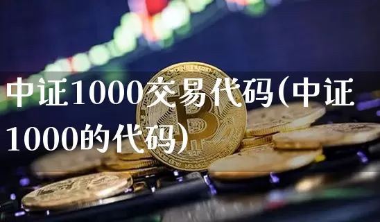 中证1000交易代码(中证1000的代码)_https://www.qgjzrcxxzxpt.com_广期所_第1张