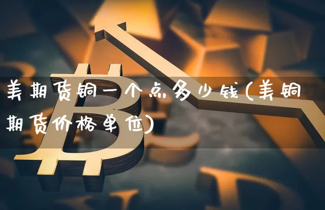 美期货铜一个点多少钱(美铜期货价格单位)_https://www.qgjzrcxxzxpt.com_上期所_第1张