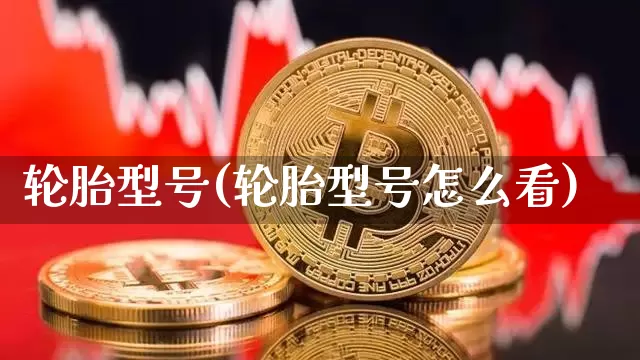 轮胎型号(轮胎型号怎么看)_https://www.qgjzrcxxzxpt.com_广期所_第1张
