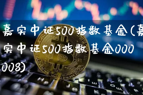 嘉实中证500指数基金(嘉实中证500指数基金000008)_https://www.qgjzrcxxzxpt.com_中金所_第1张