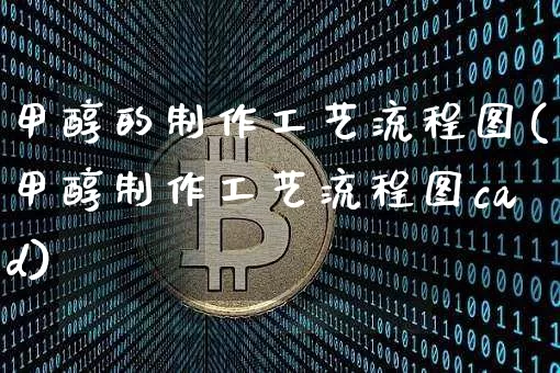 甲醇的制作工艺流程图(甲醇制作工艺流程图cad)_https://www.qgjzrcxxzxpt.com_大商所_第1张