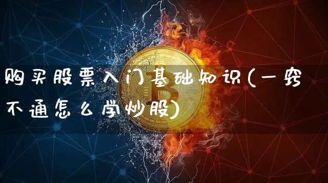 购买股票入门基础知识(一窍不通怎么学炒股)_https://www.qgjzrcxxzxpt.com_大商所_第1张