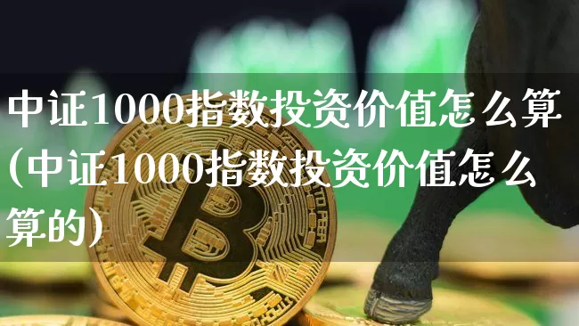 中证1000指数投资价值怎么算(中证1000指数投资价值怎么算的)_https://www.qgjzrcxxzxpt.com_上期能源_第1张