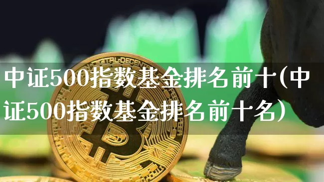 中证500指数基金排名前十(中证500指数基金排名前十名)_https://www.qgjzrcxxzxpt.com_上期能源_第1张
