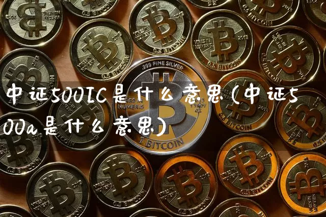 中证500IC是什么意思(中证500a是什么意思)_https://www.qgjzrcxxzxpt.com_大商所_第1张