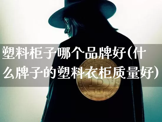 塑料柜子哪个品牌好(什么牌子的塑料衣柜质量好)_https://www.qgjzrcxxzxpt.com_大商所_第1张