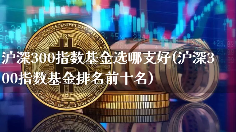 沪深300指数基金选哪支好(沪深300指数基金排名前十名)_https://www.qgjzrcxxzxpt.com_大商所_第1张