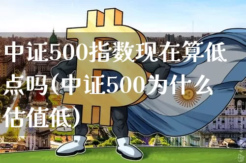 中证500指数现在算低点吗(中证500为什么估值低)_https://www.qgjzrcxxzxpt.com_中金所_第1张