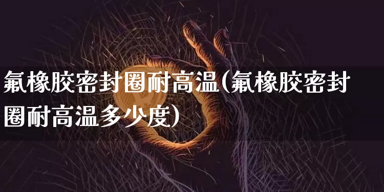氟橡胶密封圈耐高温(氟橡胶密封圈耐高温多少度)_https://www.qgjzrcxxzxpt.com_大商所_第1张