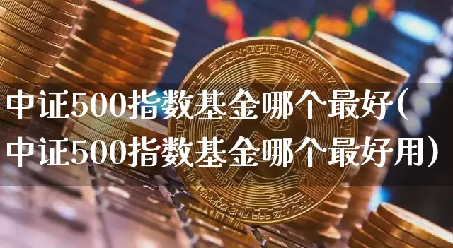 中证500指数基金哪个最好(中证500指数基金哪个最好用)_https://www.qgjzrcxxzxpt.com_大商所_第1张