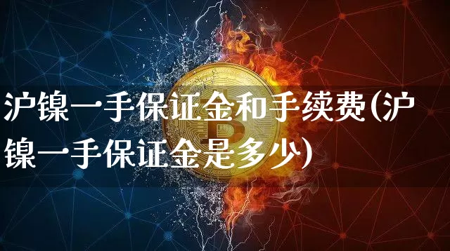 沪镍一手保证金和手续费(沪镍一手保证金是多少)_https://www.qgjzrcxxzxpt.com_上期所_第1张