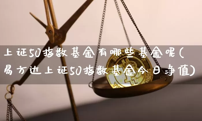 上证50指数基金有哪些基金呢(易方达上证50指数基金今日净值)_https://www.qgjzrcxxzxpt.com_郑商所_第1张