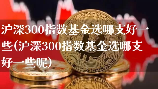 沪深300指数基金选哪支好一些(沪深300指数基金选哪支好一些呢)_https://www.qgjzrcxxzxpt.com_中金所_第1张
